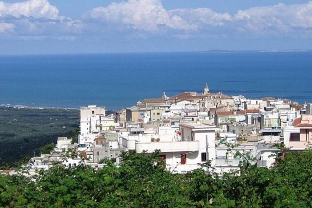 Amazing Gargano