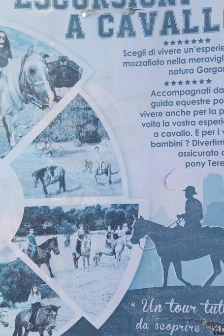 Amazing Gargano