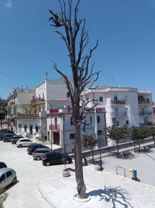 Amazing Gargano