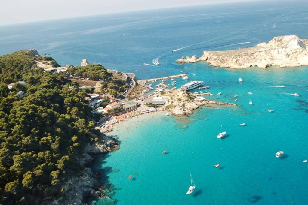 Amazing Gargano