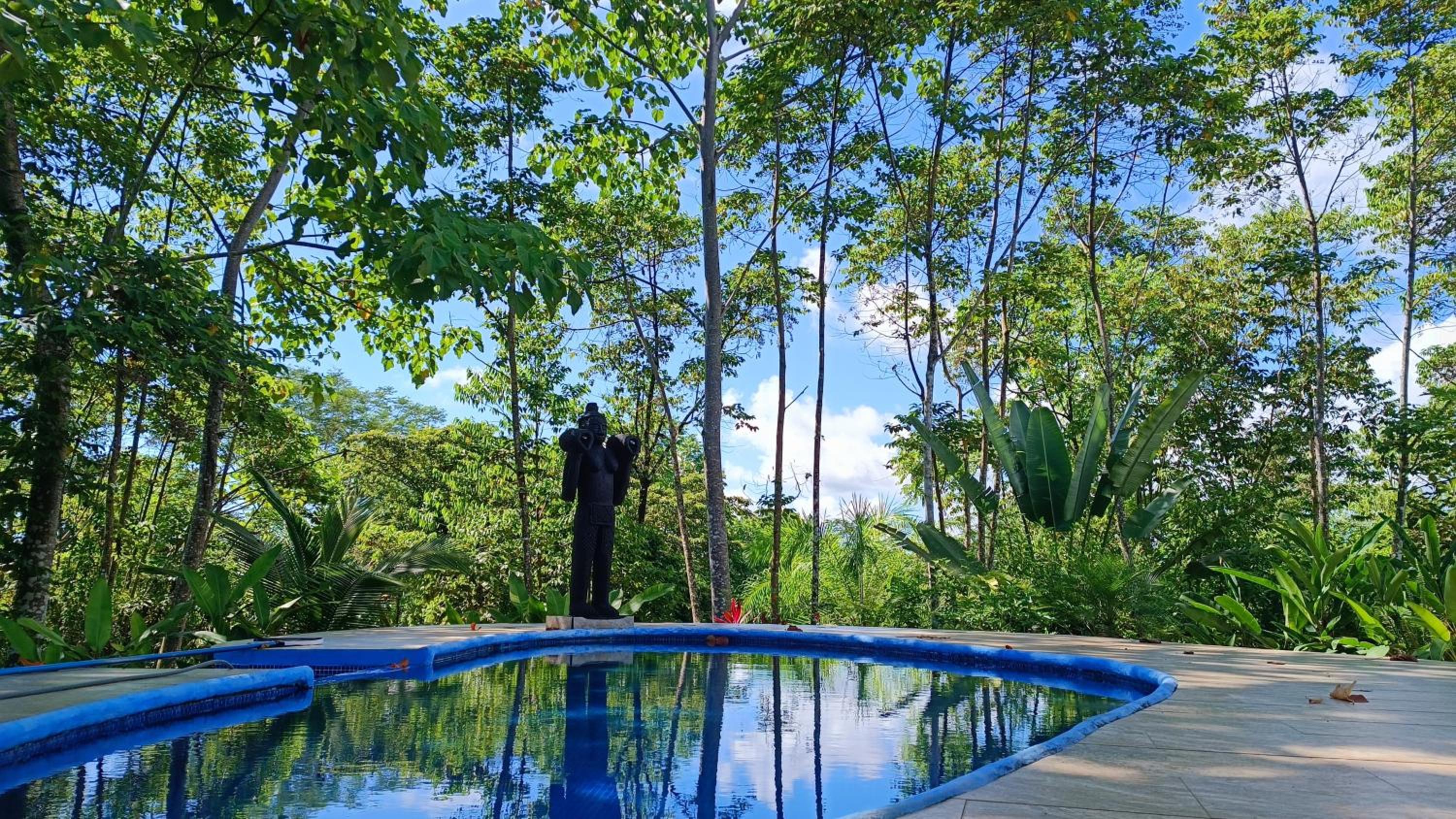 Corcovado Great Villas-pool-jacuzzi-amazing views