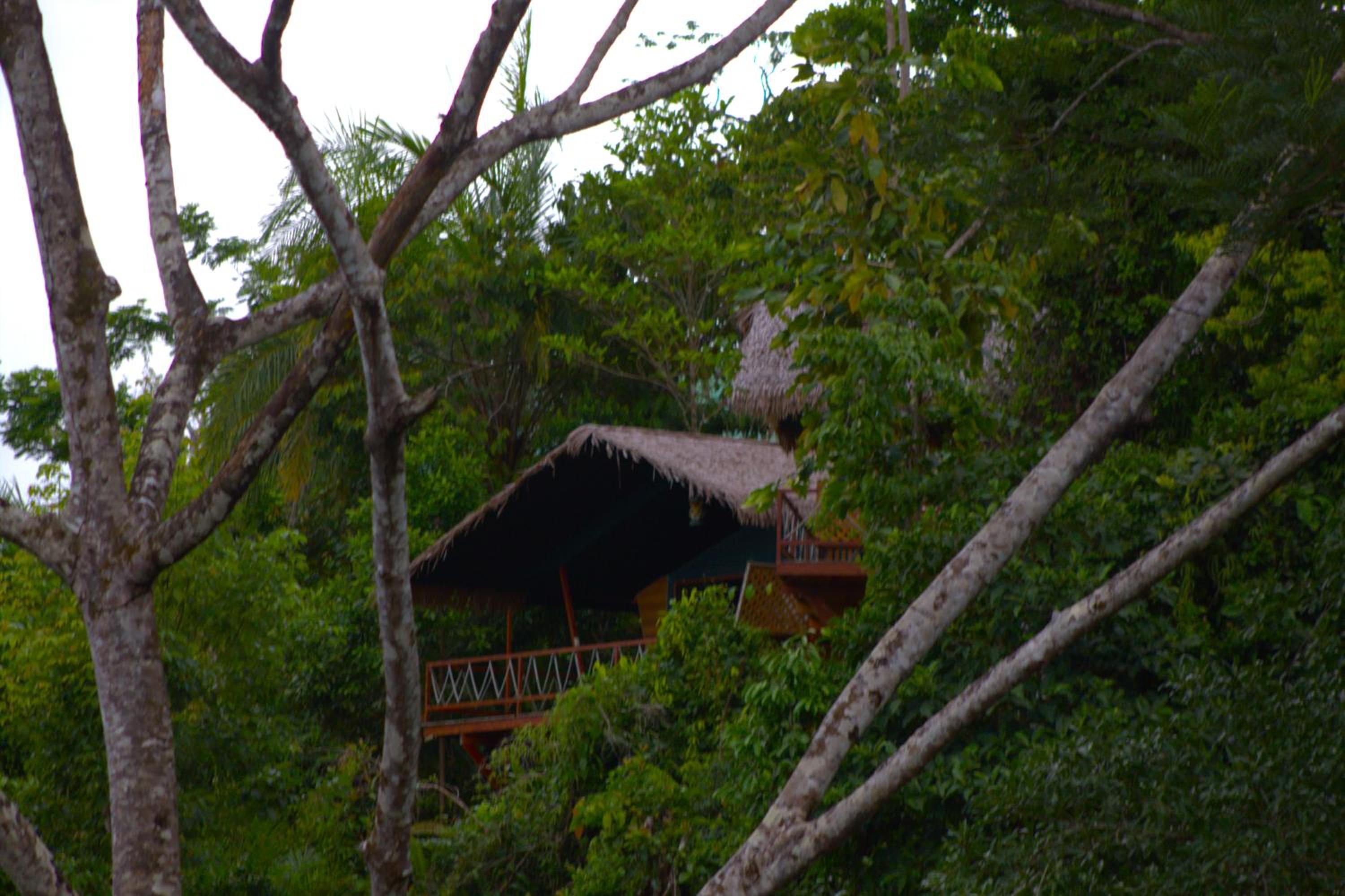Corcovado Great Villas-pool-jacuzzi-amazing views