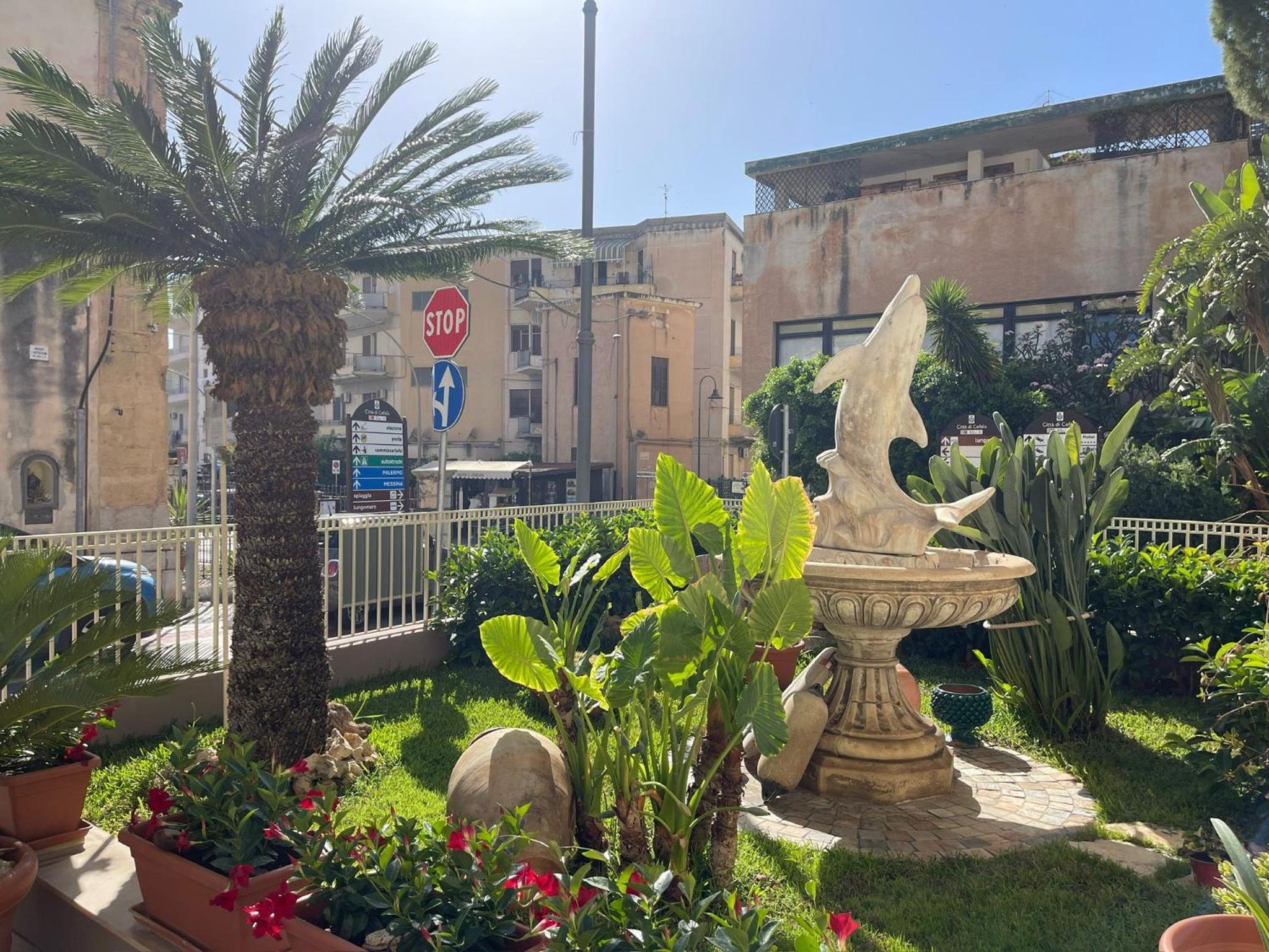 Photo 19