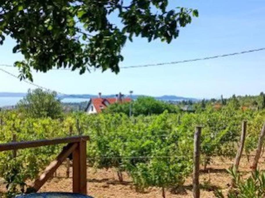 Panorámaház Lovason