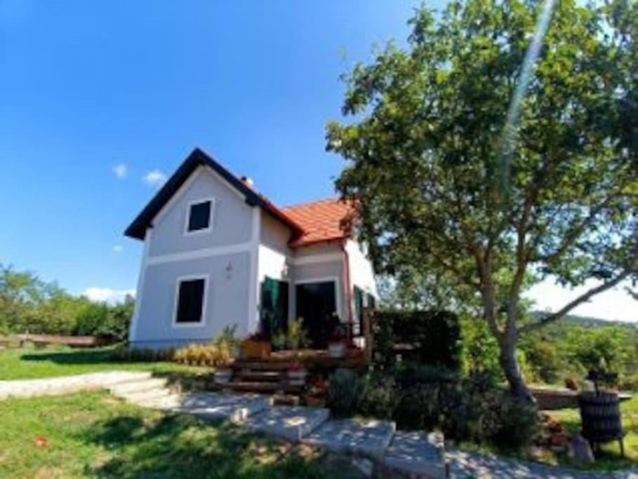 Panorámaház Lovason