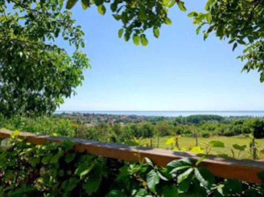 Panorámaház Lovason