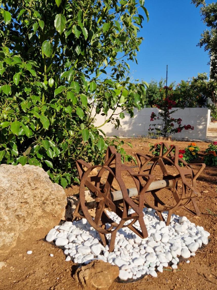 Photo 68