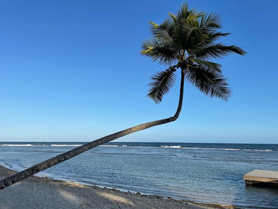 Aquarella Sunset Caribbean Beachfront Gataway