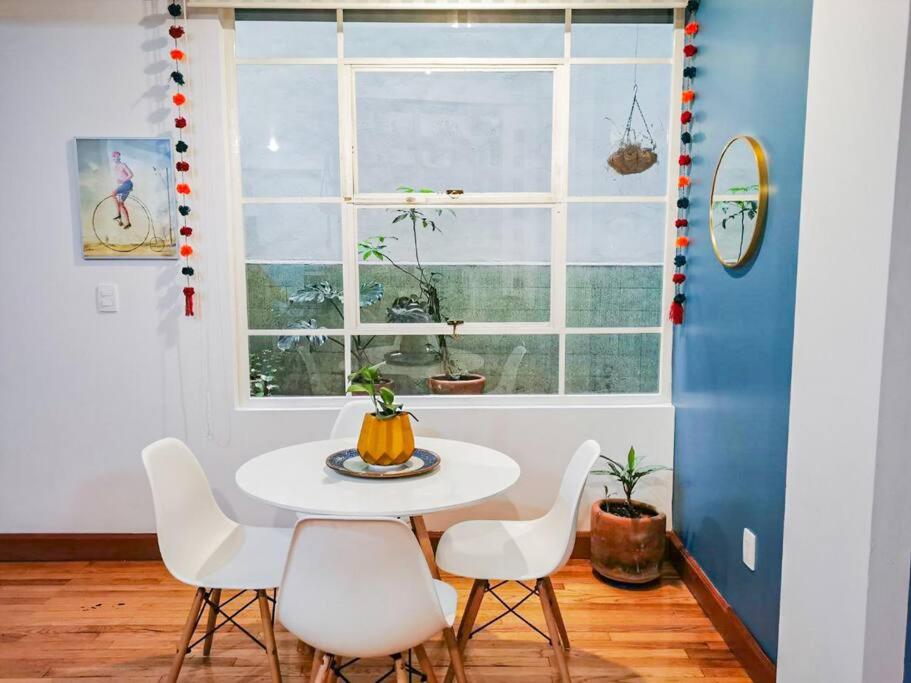 Beautiful and cozy apartment downtown Mexico City photo 3