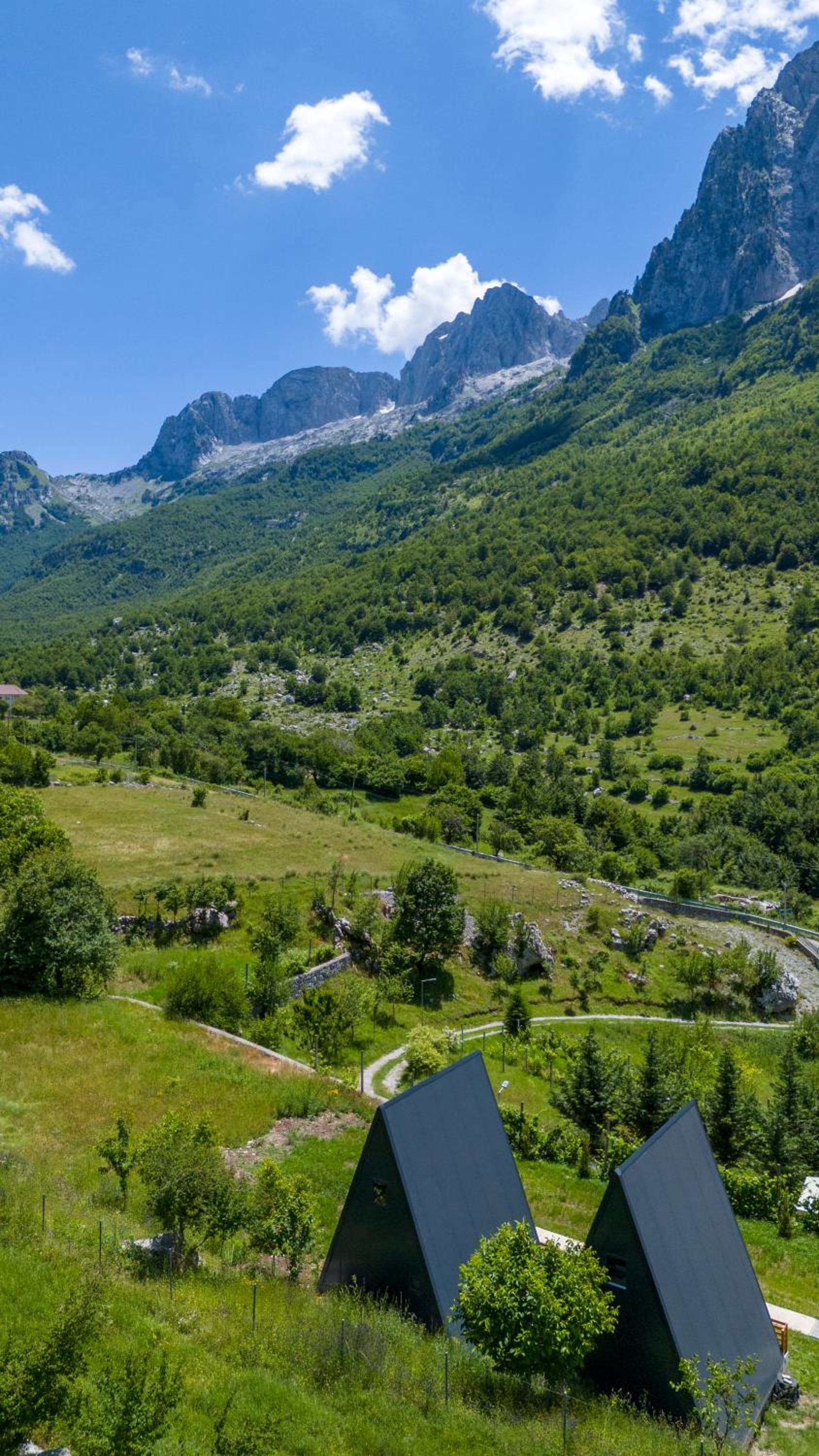 Arditi's Chalets