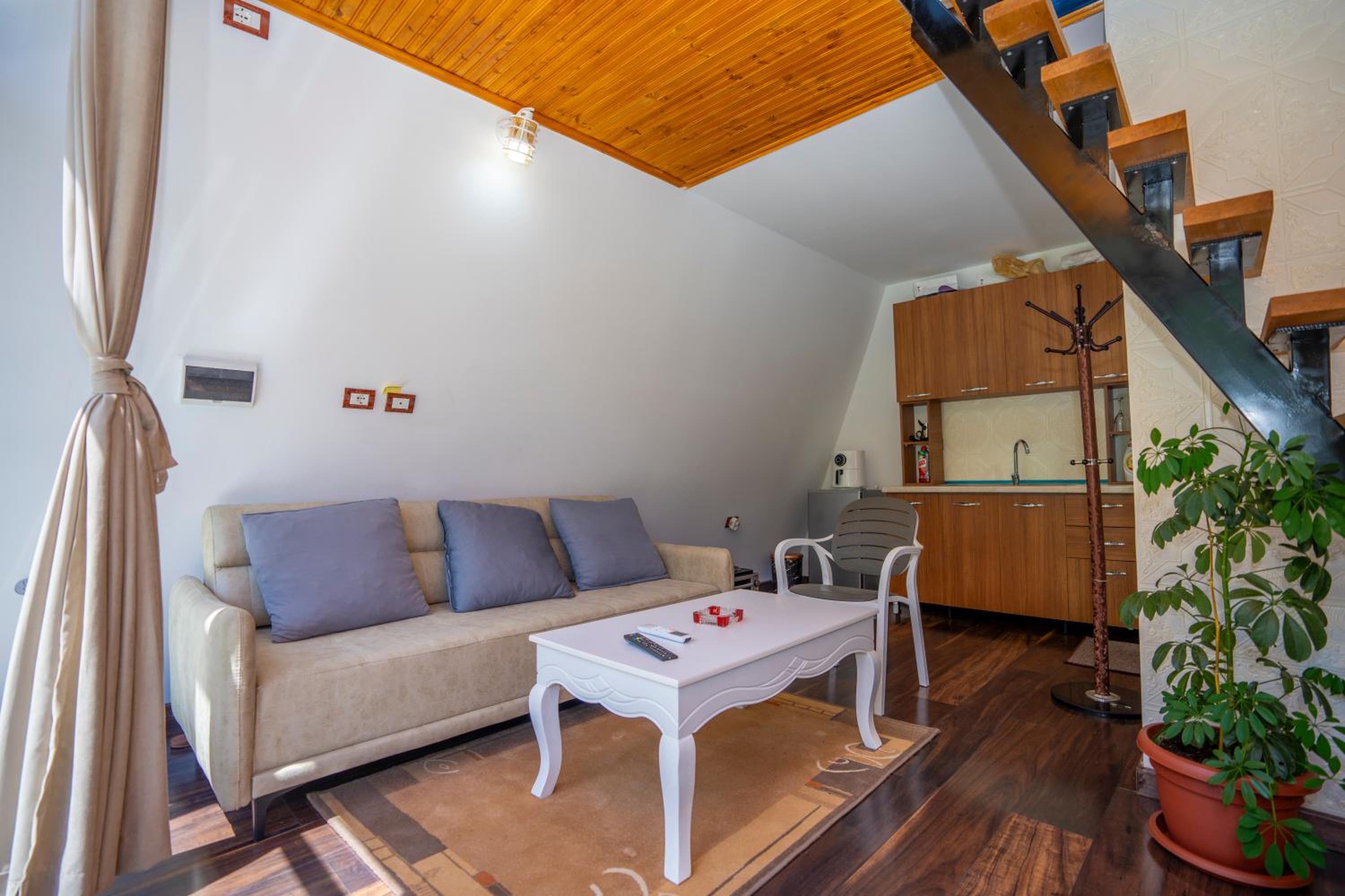 Arditi's Chalets