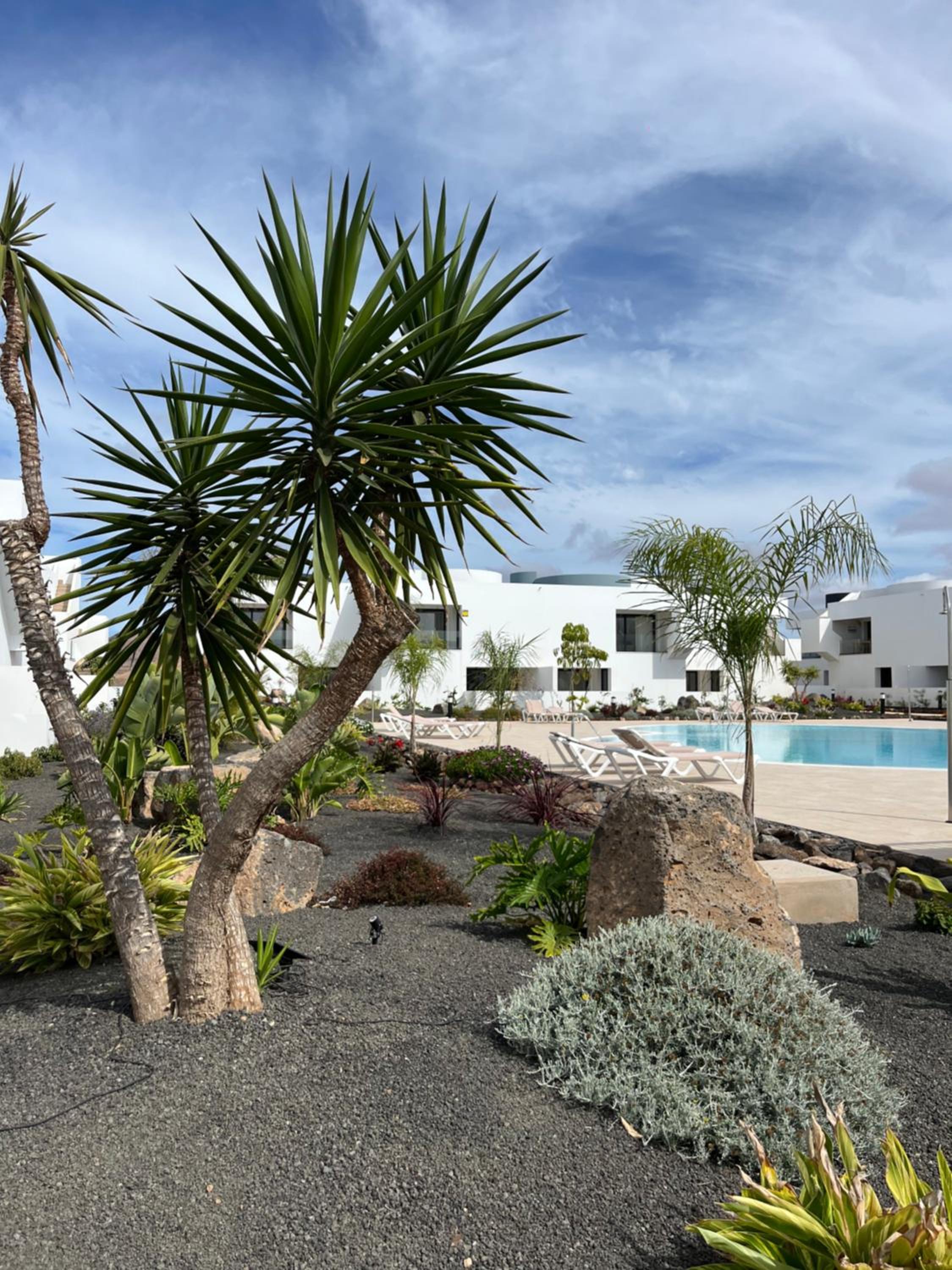Casita Oliva - Piso de diseño en Fuerteventura view 5