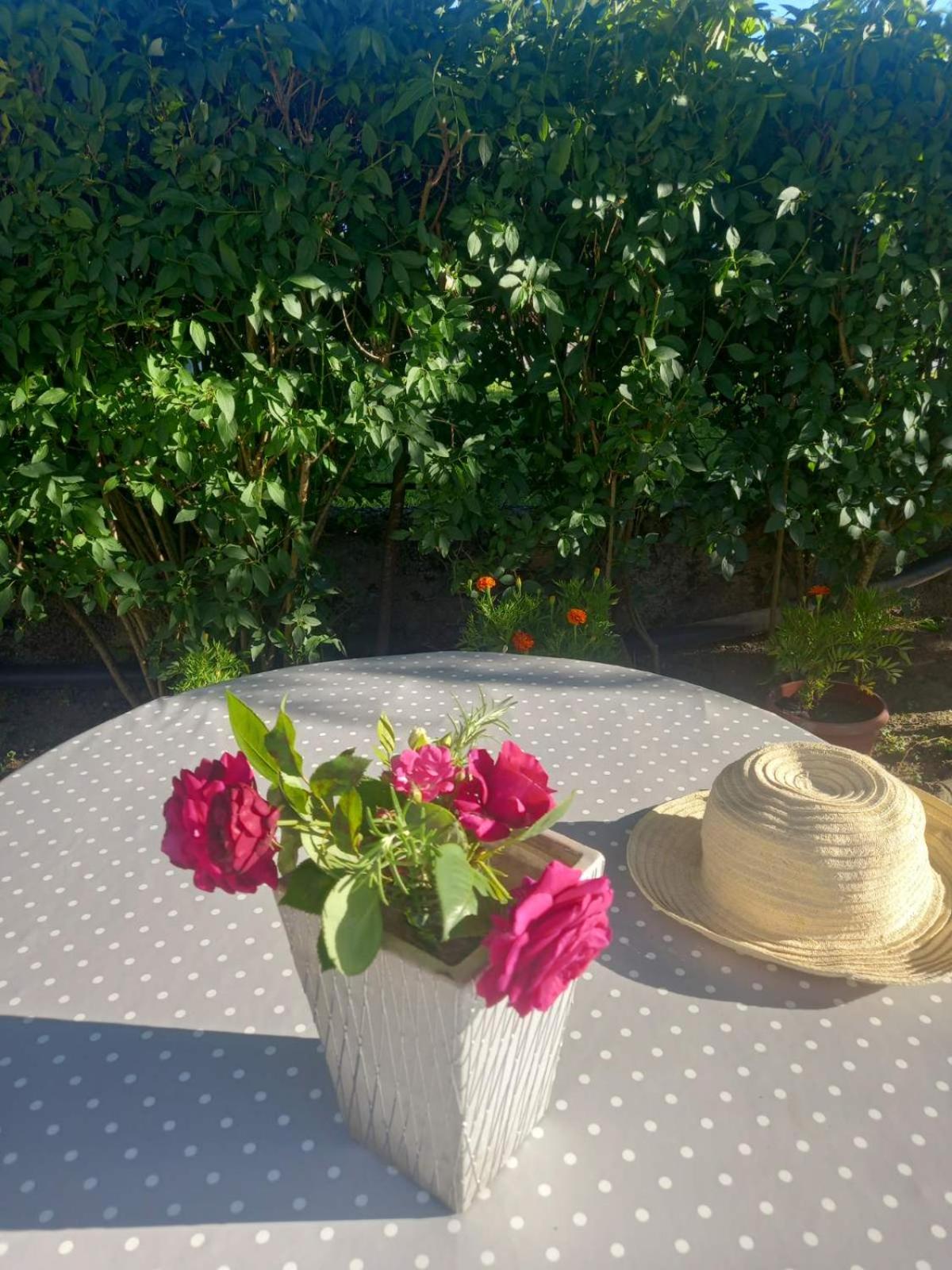 Studio apartman Nejra