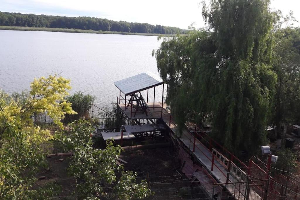 Photo 13