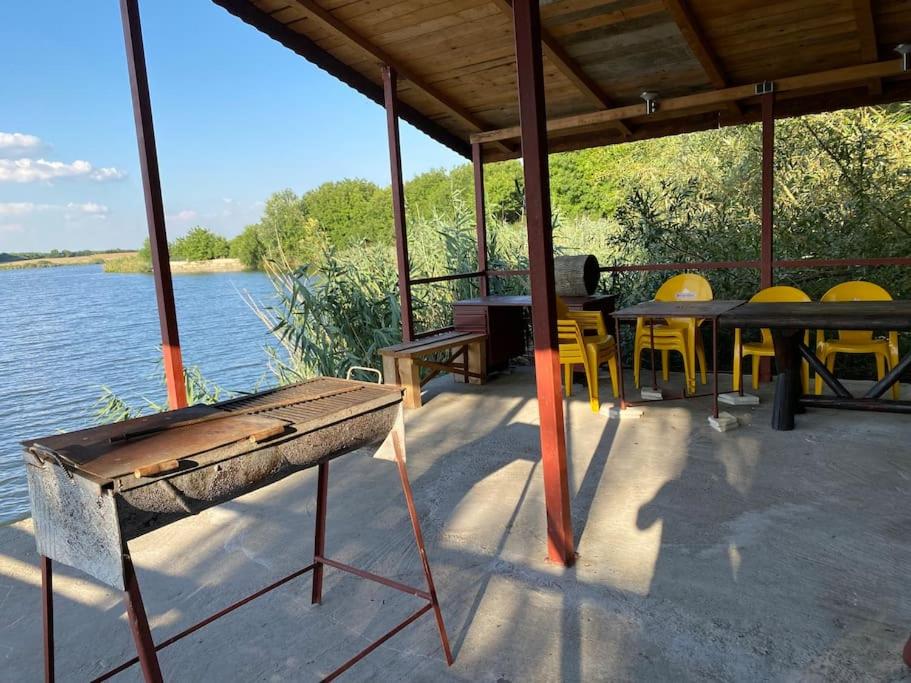 Vila Lacul Caldarusani view 5