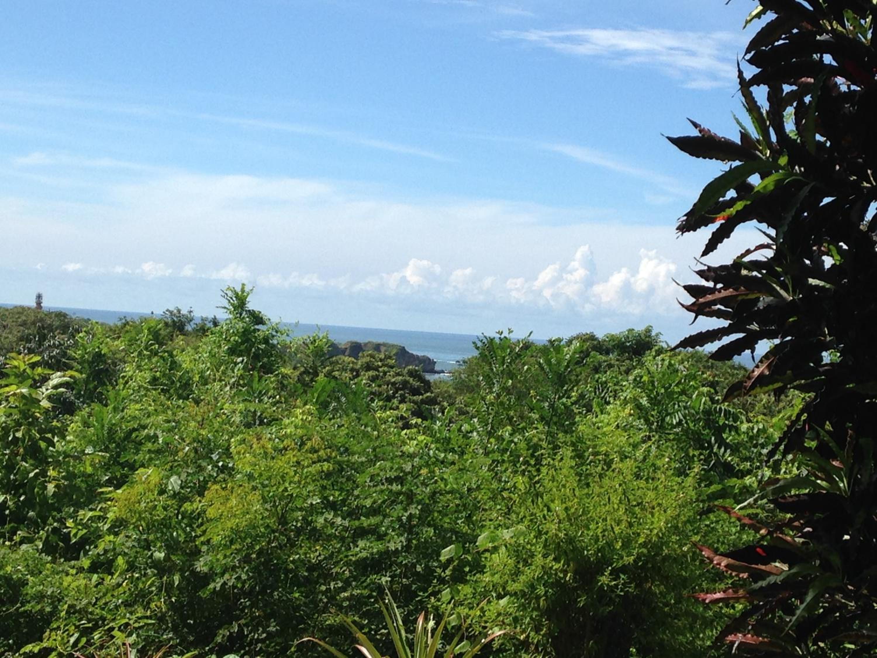 Villa Mango B&B