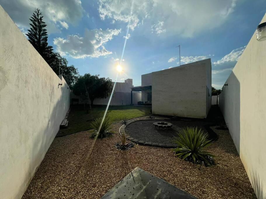 Cactus Azul view 4