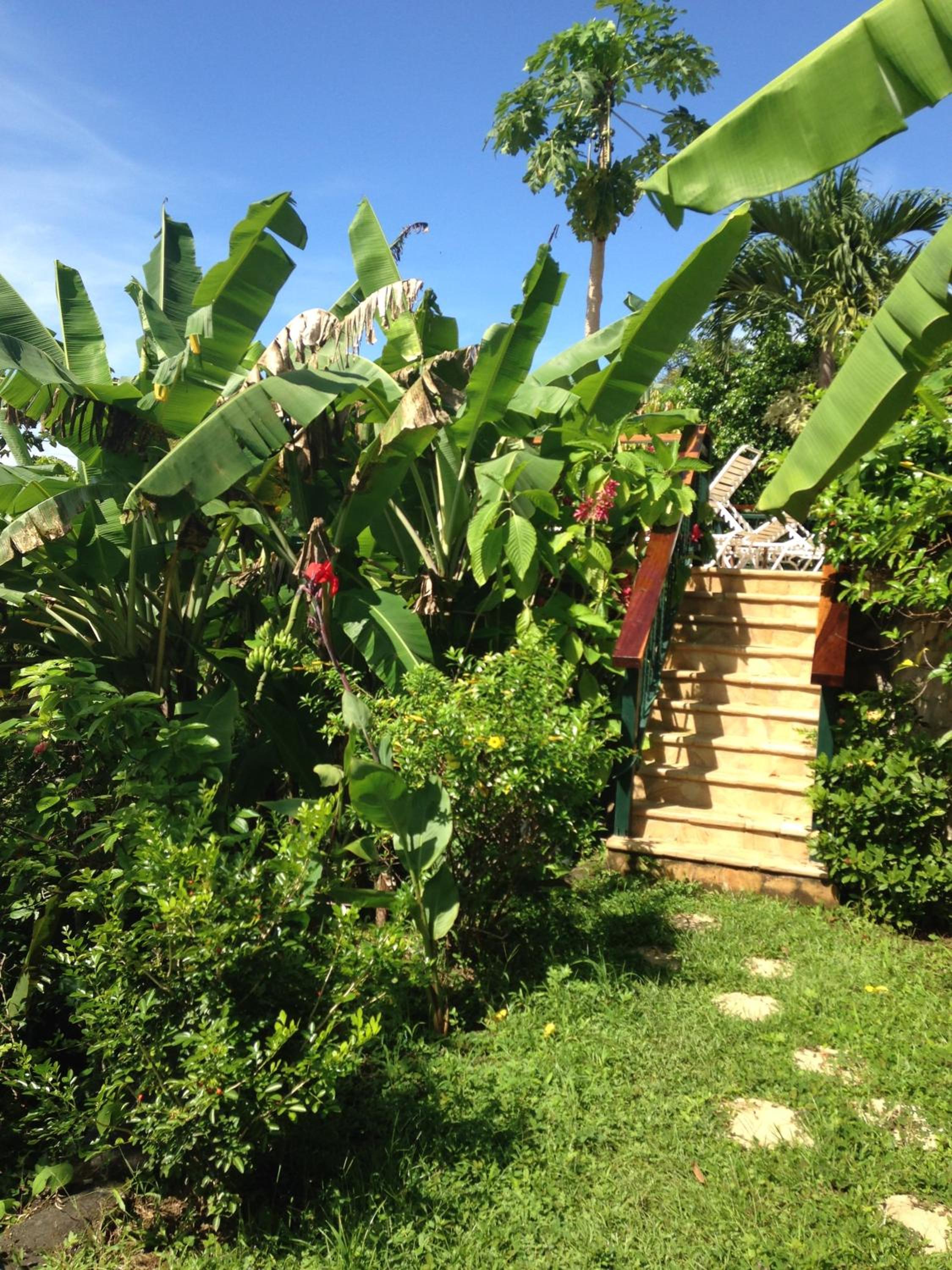 Villa Mango B&B