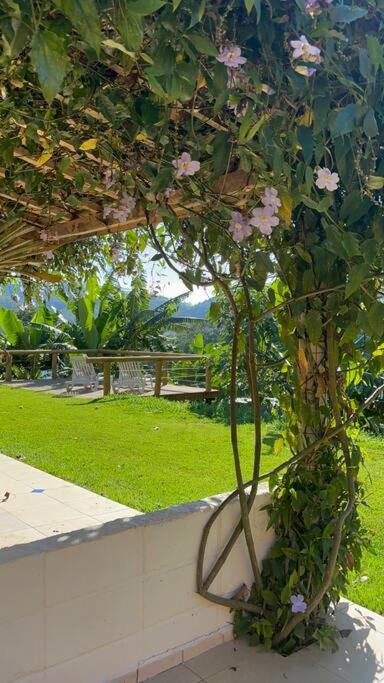 Casa Jatobá - Experiencie a Mata Atlântica