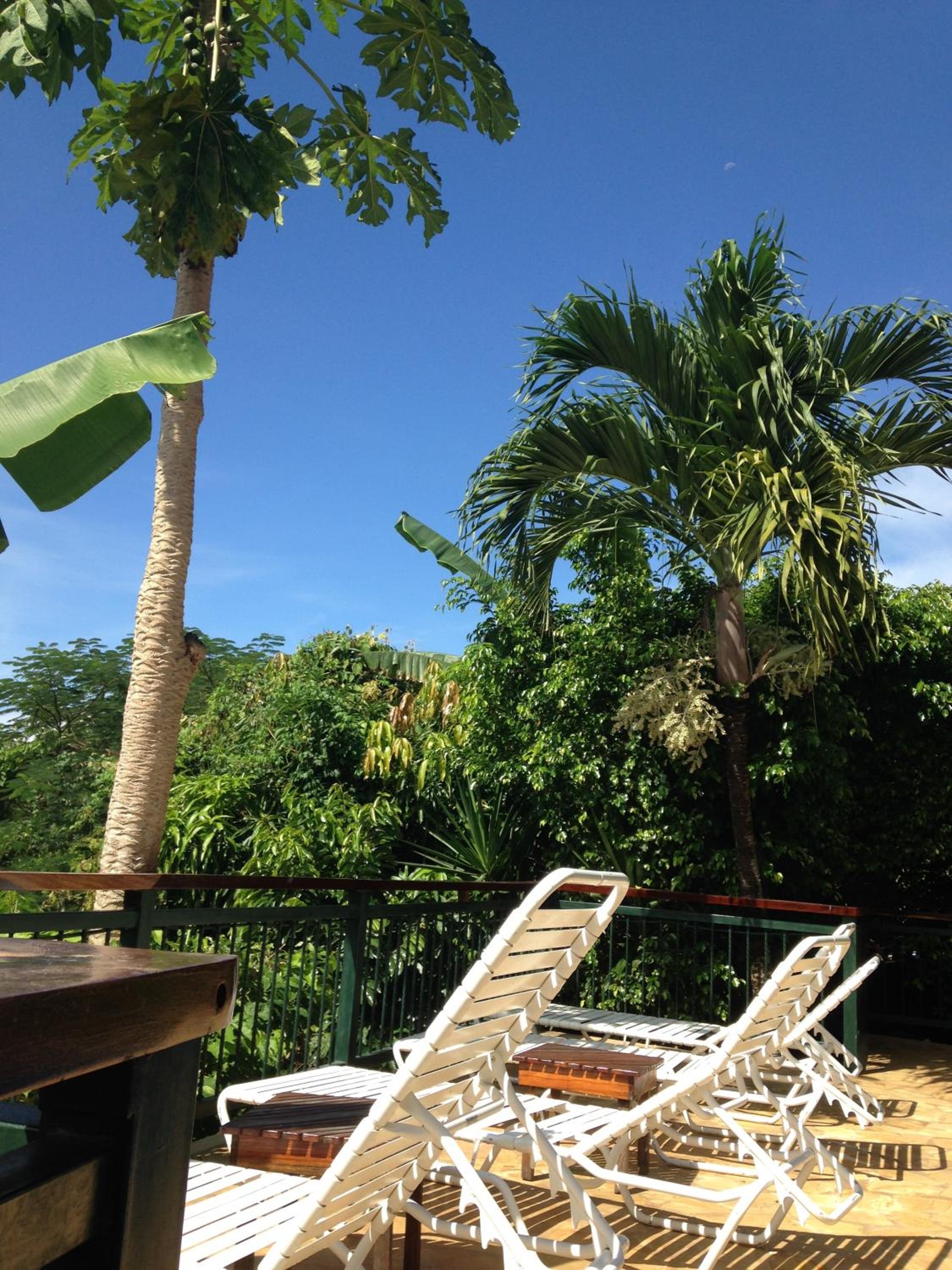 Villa Mango B&B