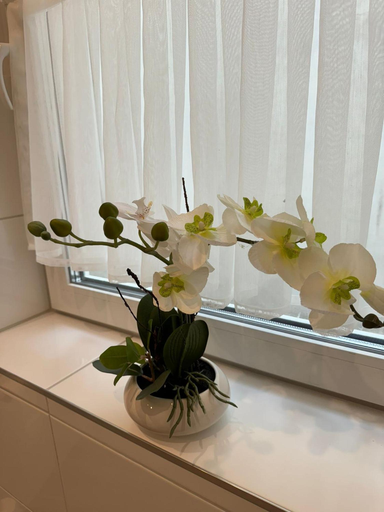 Charmante und moderne Altbauwohnung