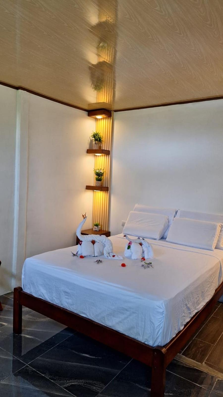 Casita Rivera Río Celeste view 2