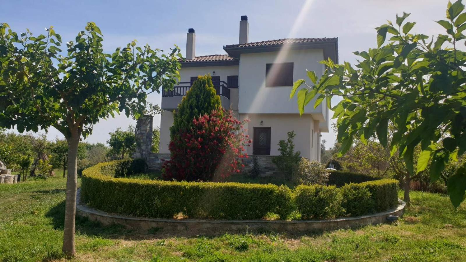 Olive View Cottage in Pelion view 3