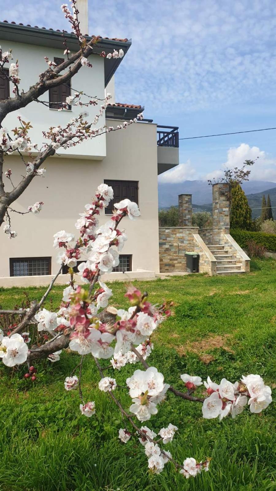Olive View Cottage in Pelion view 2
