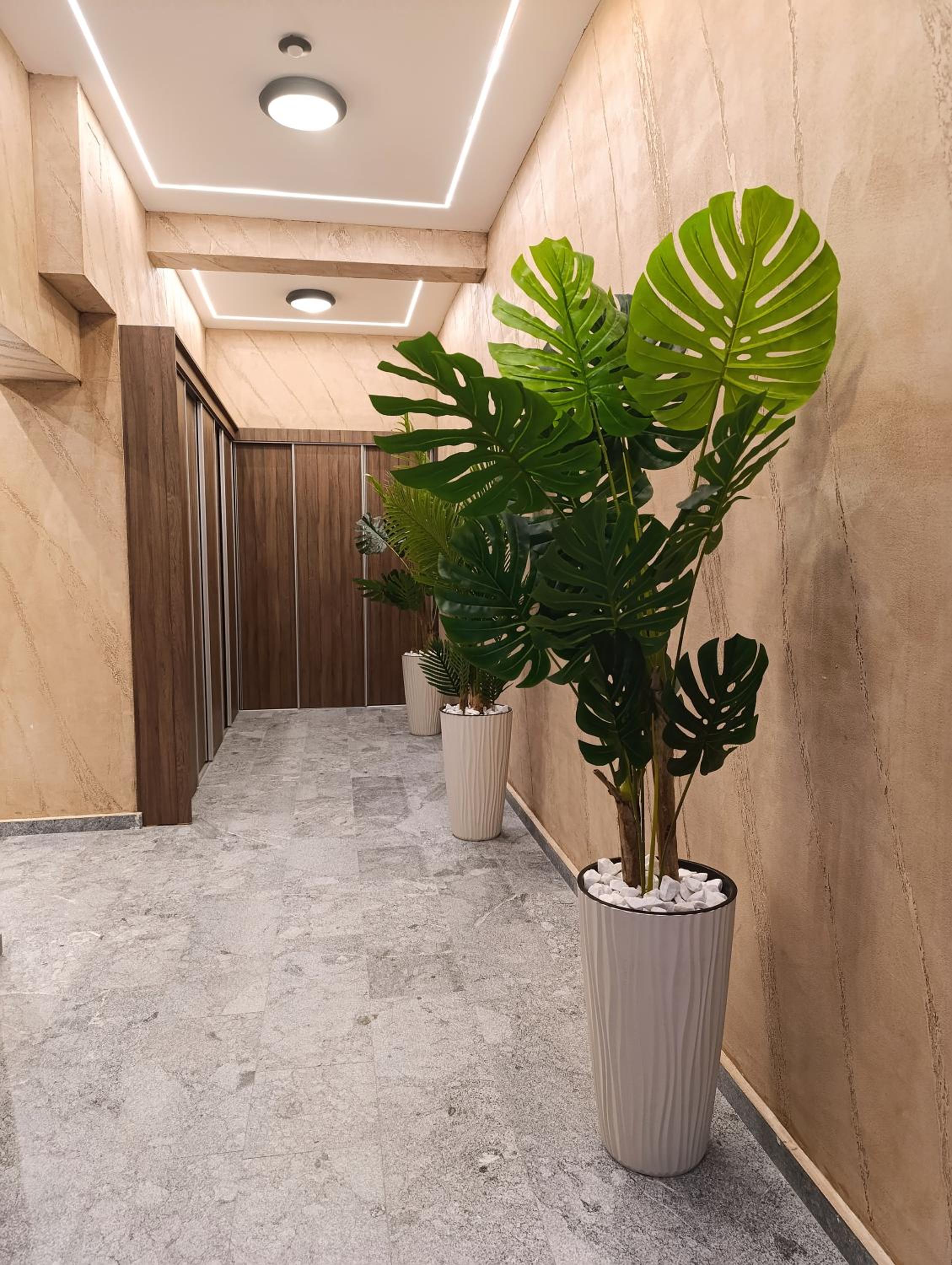 Apartman Rentals Lux KG 1