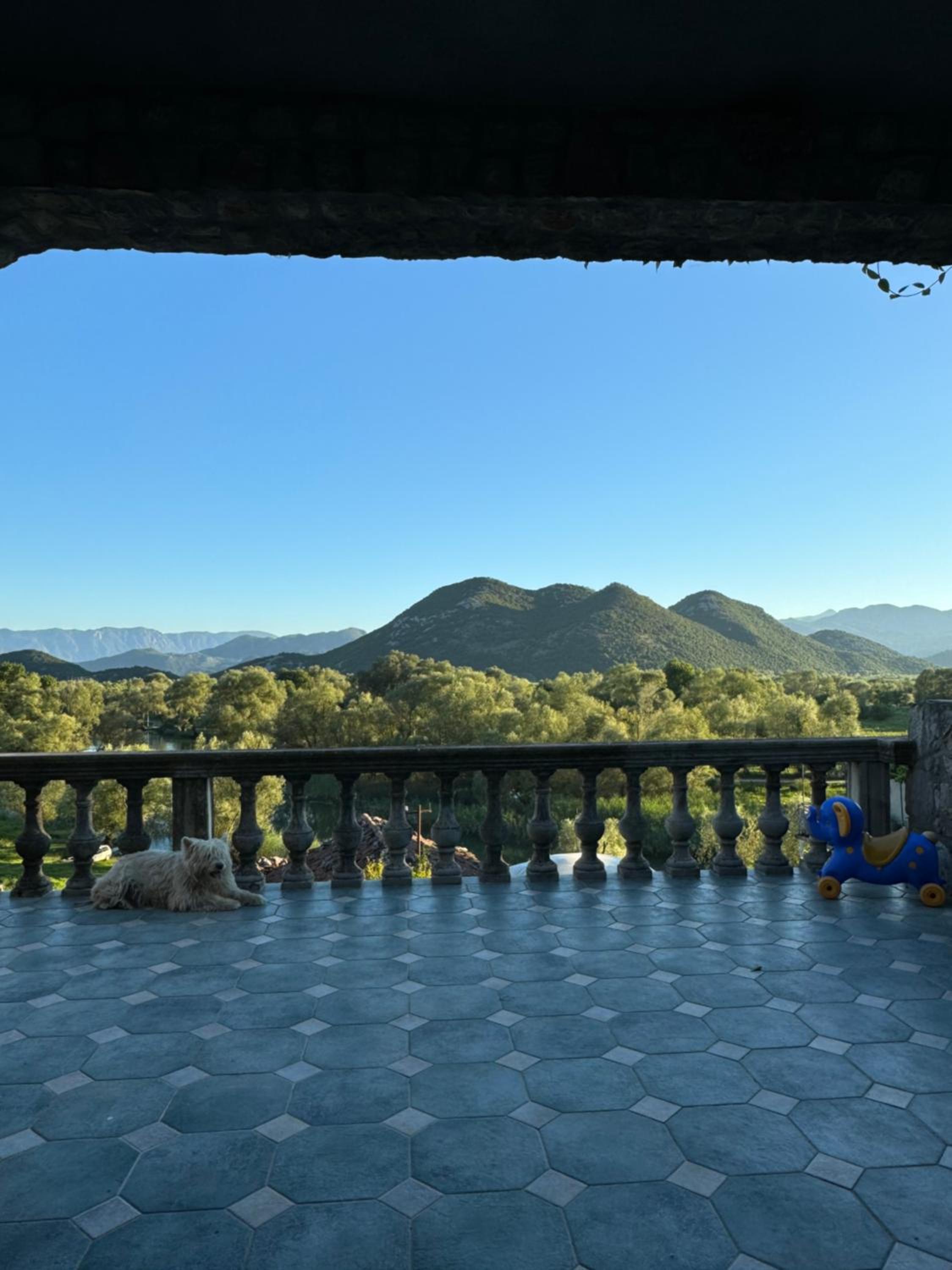 NikolaS Family cottage