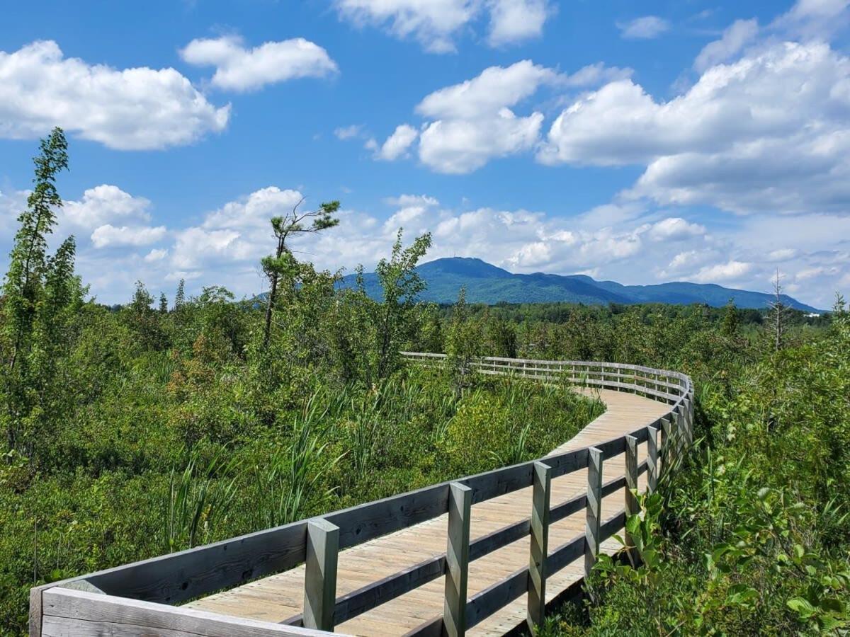 Etoile bleue Beach bike shops Magog-Orford