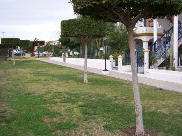 Photo 46