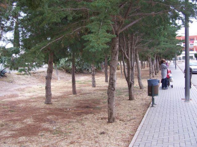 Photo 27