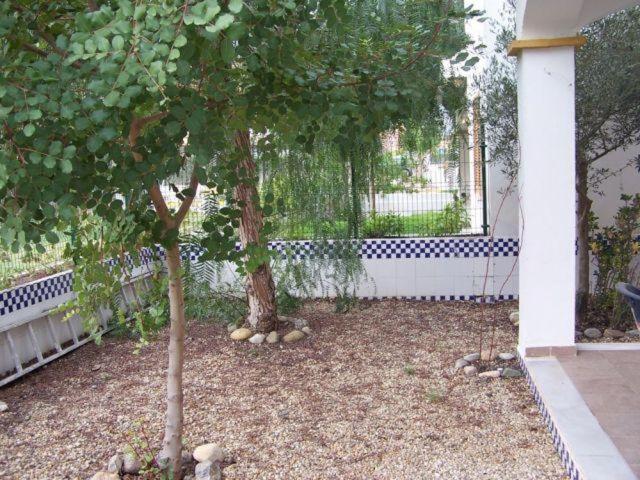 Photo 33