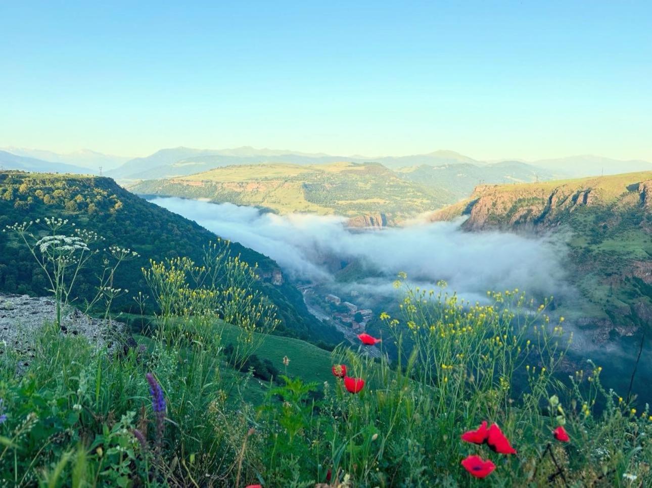 Canyon View Dsegh