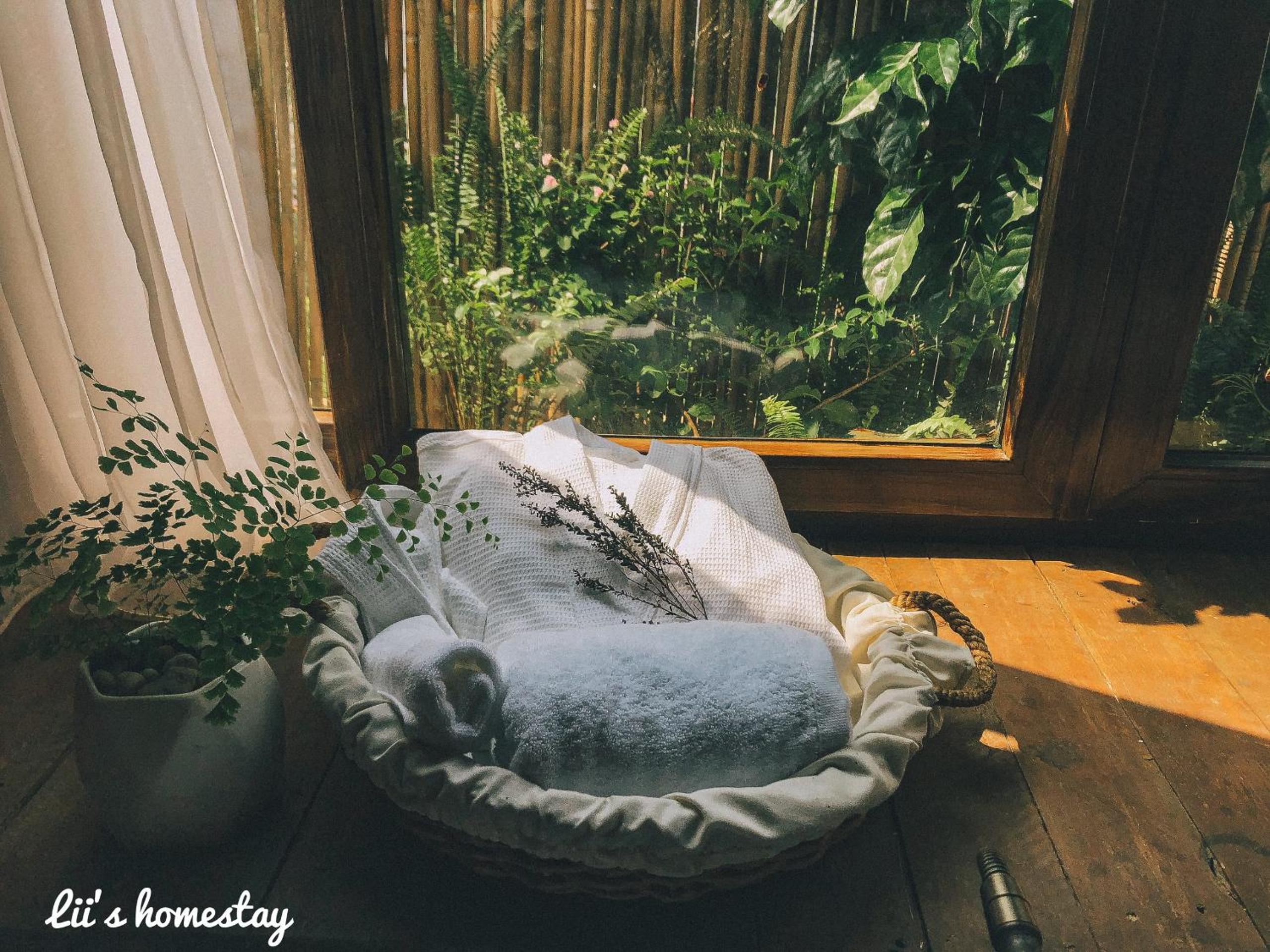 Lii's Homestay