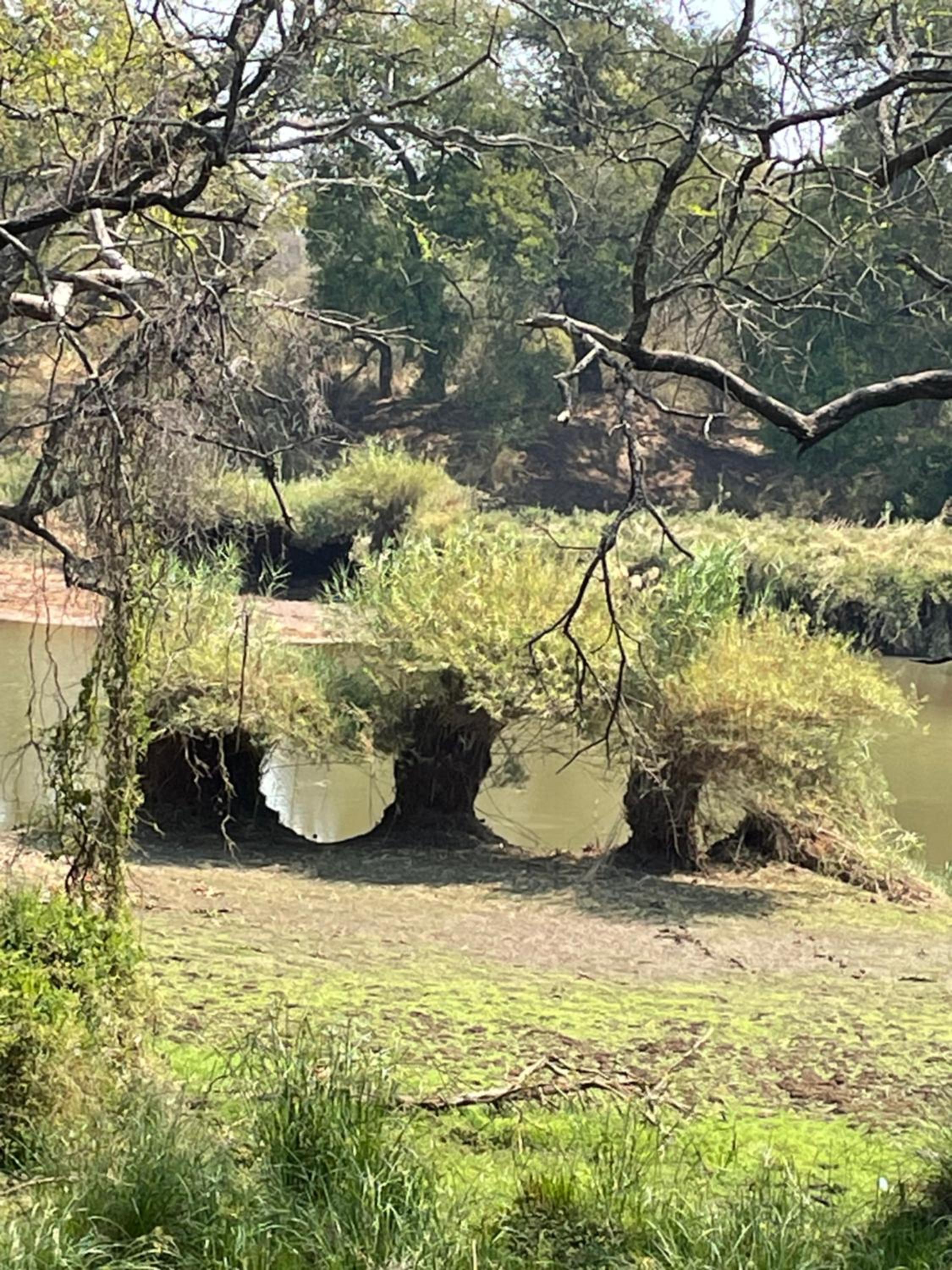 Klippan River Lodge view 4