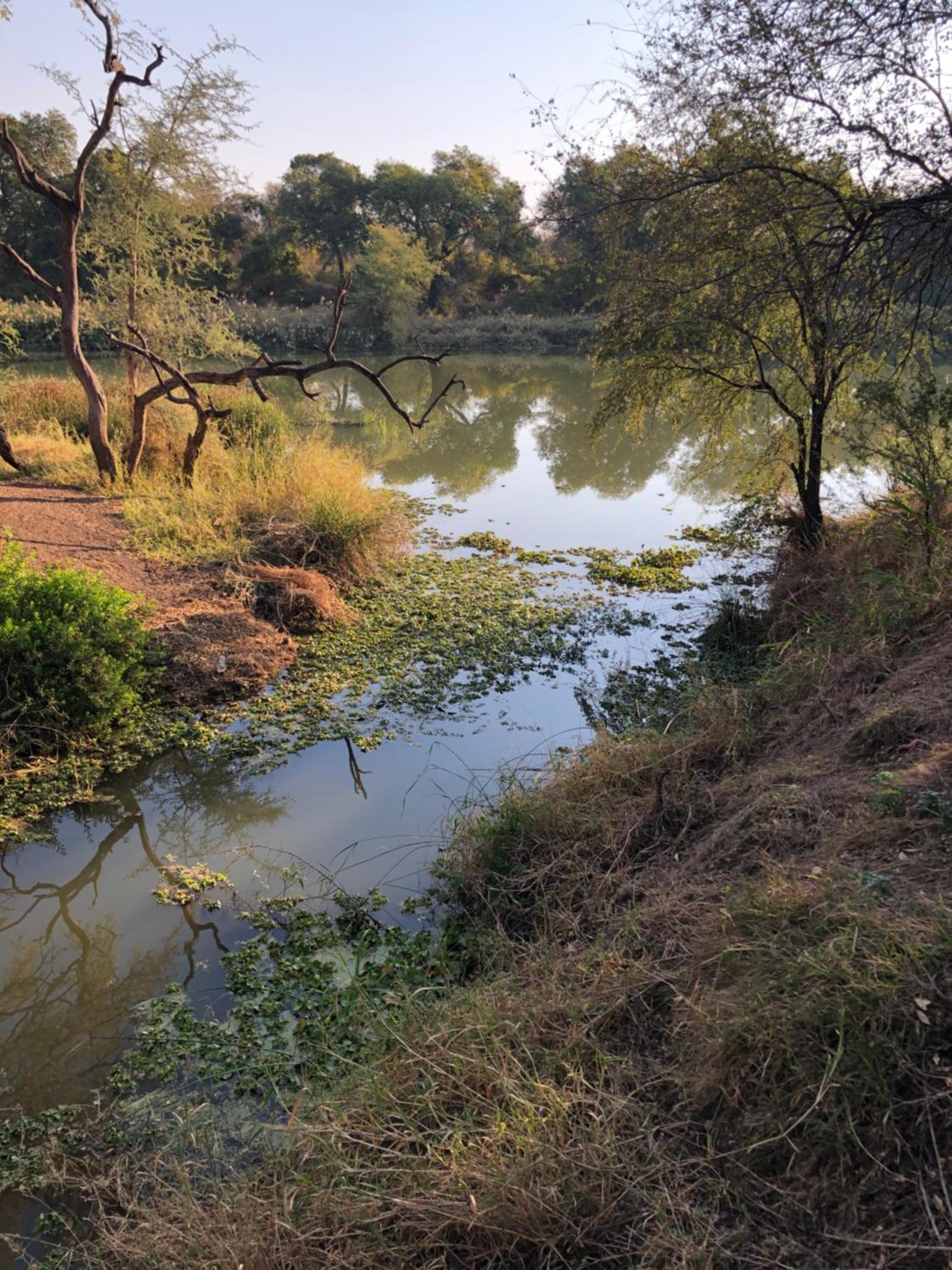 Klippan River Lodge view 5