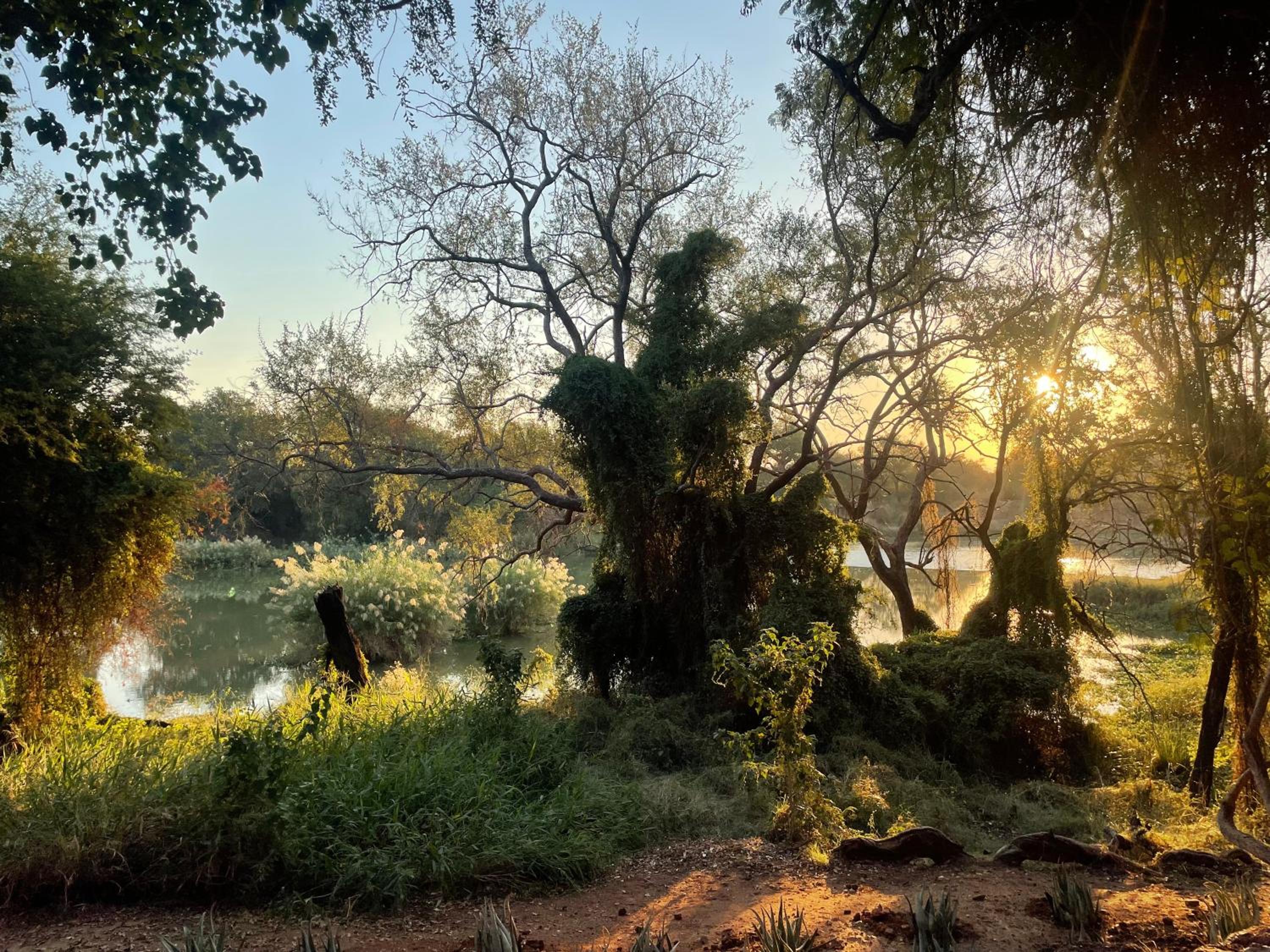 Klippan River Lodge view 3