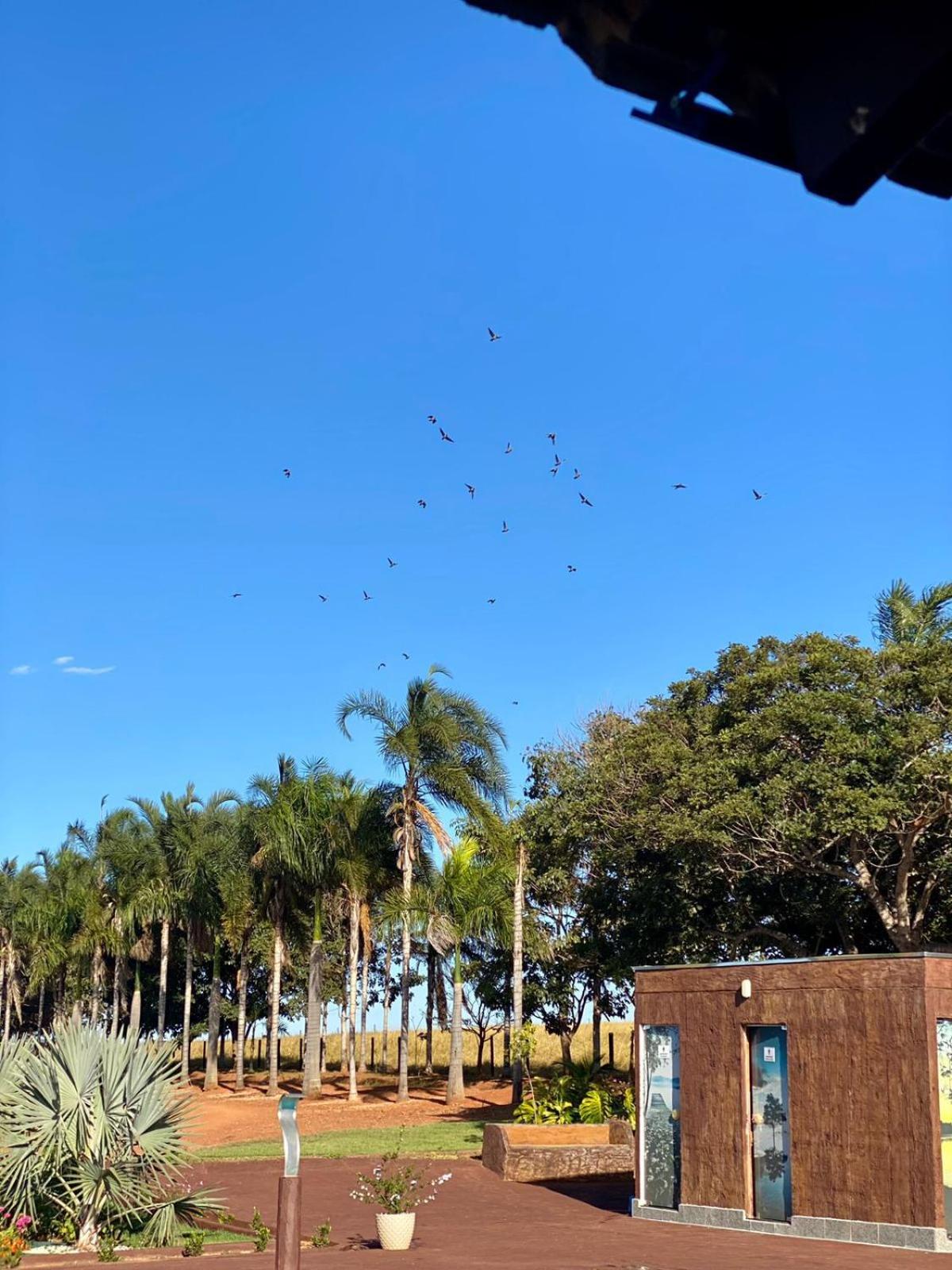 Casa de campo completa! Chácara Magnífica!