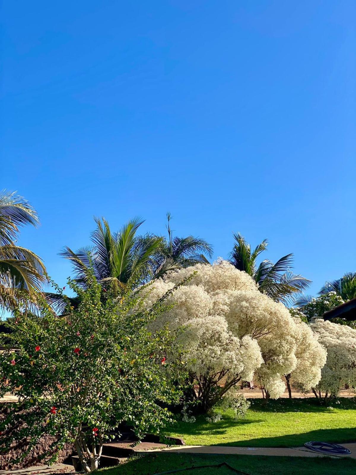 Casa de campo completa! Chácara Magnífica!