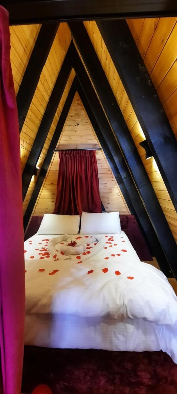 Vila Alpine Arlon Gjinar