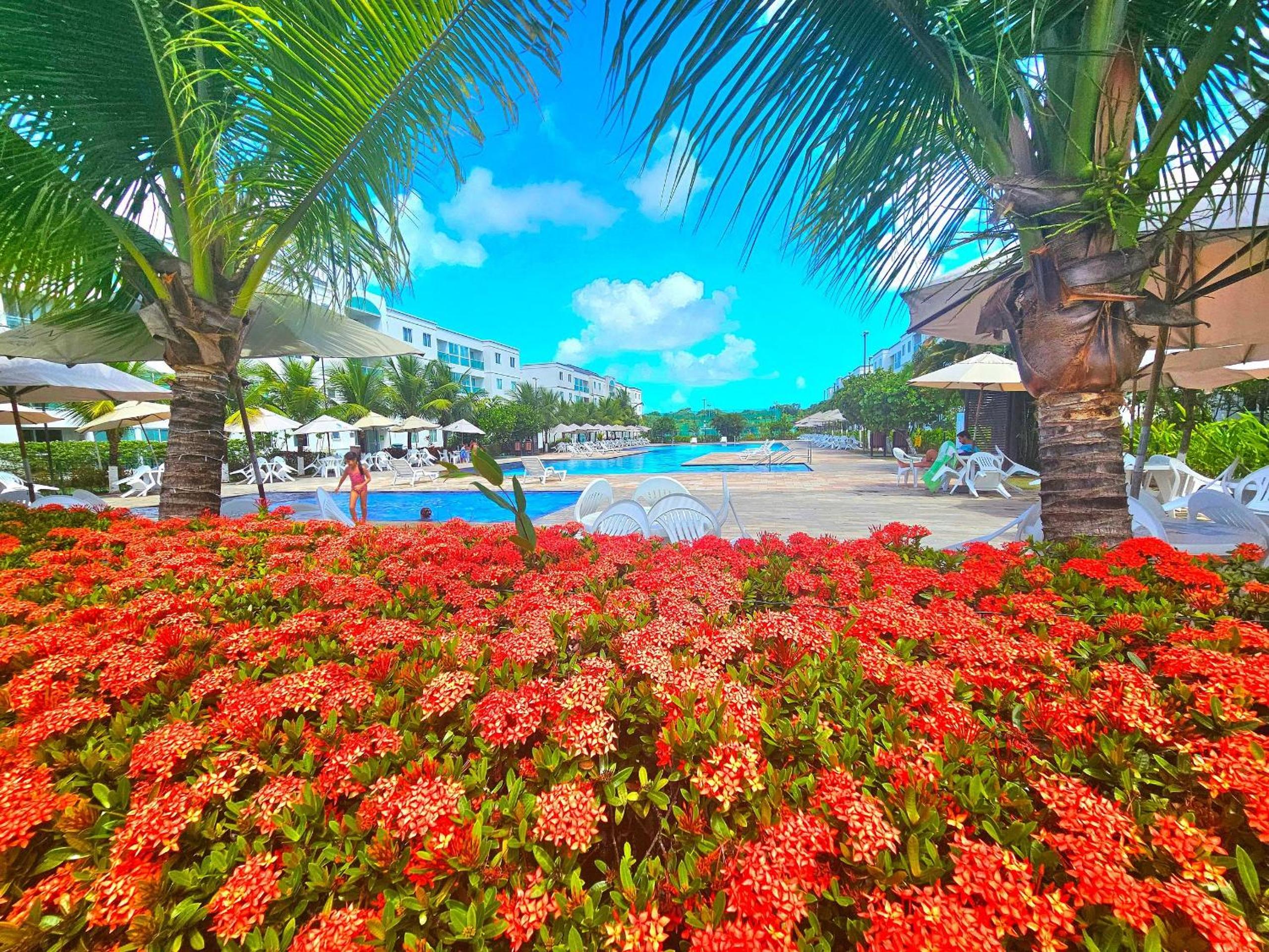 Palm Village by Temporada Inn