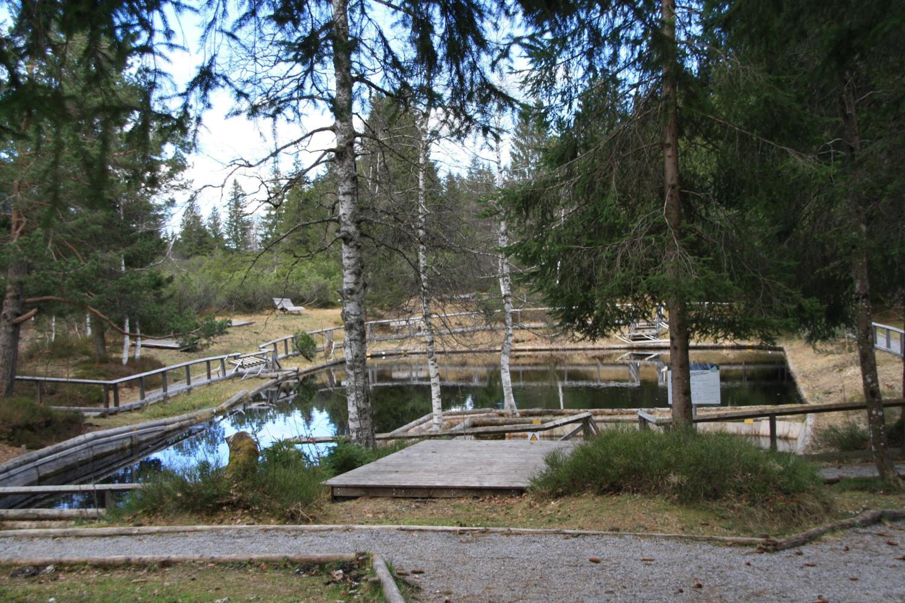 Ferienwohnung Bachmann