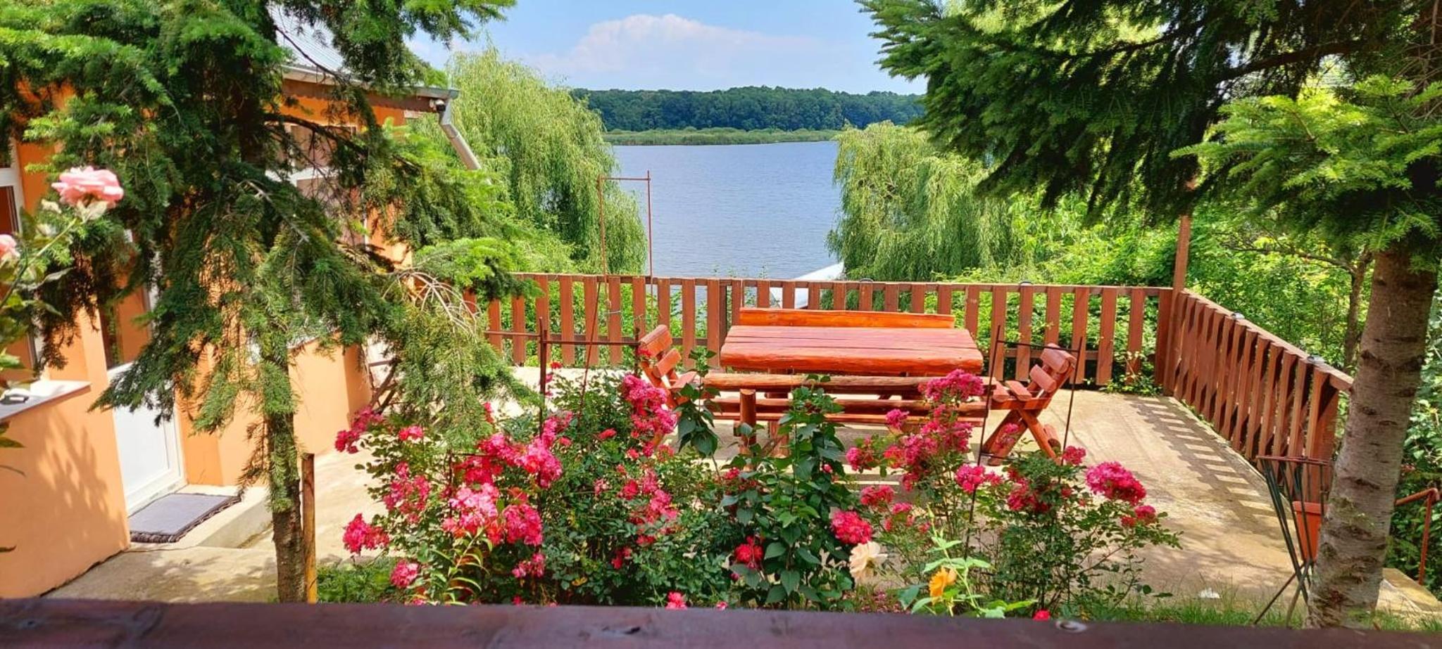 Vila Lacul Caldarusani view 4
