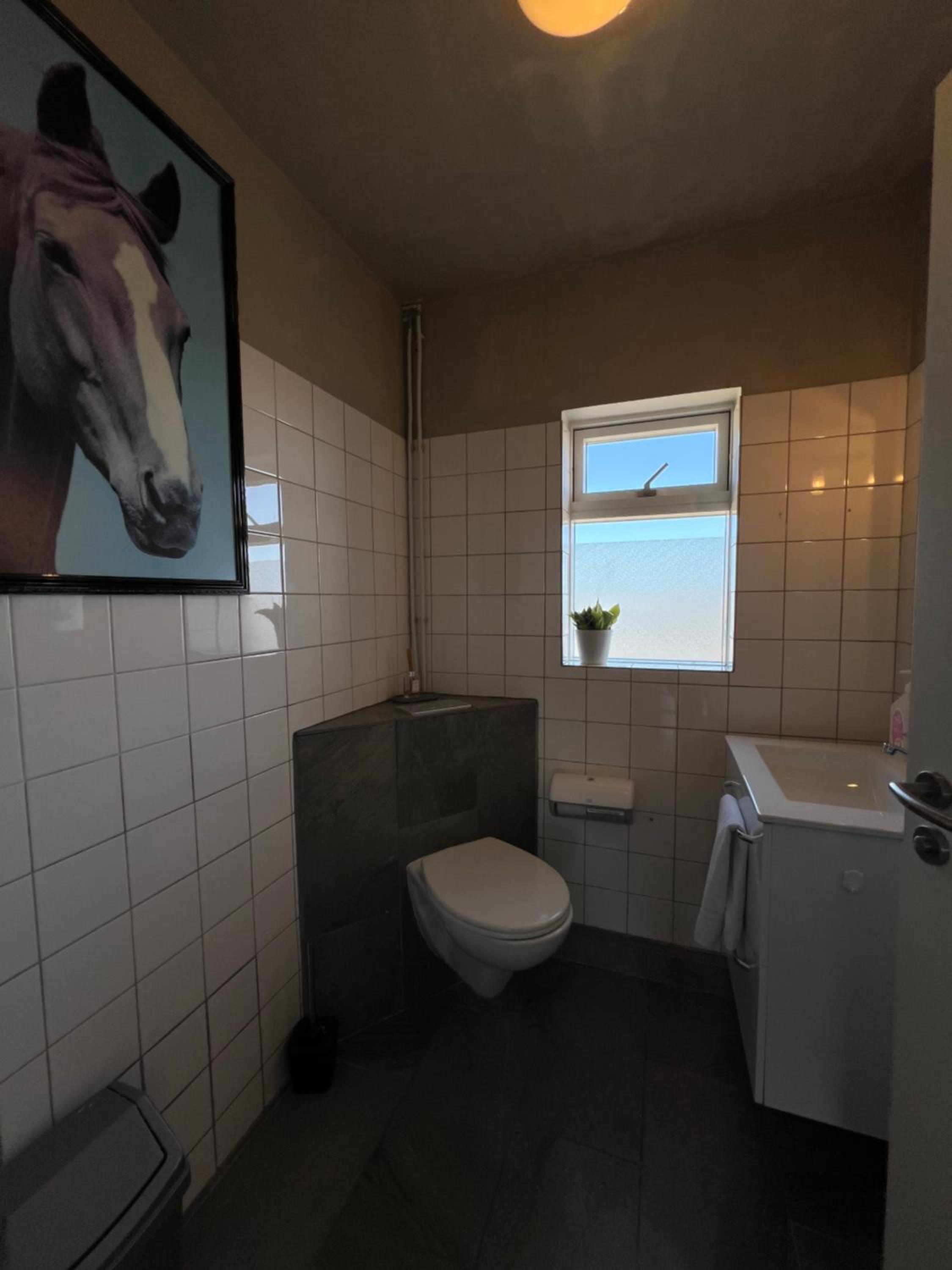 Sauðanes Guesthouse