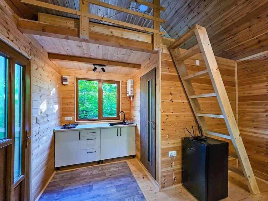 Bear Watching Tiny House view 2