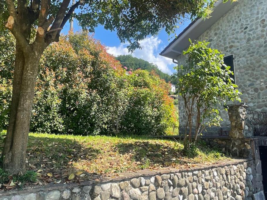 Villa Le Due Rose, up to 10pax with garden in Lunigiana - mytouristhome view 2