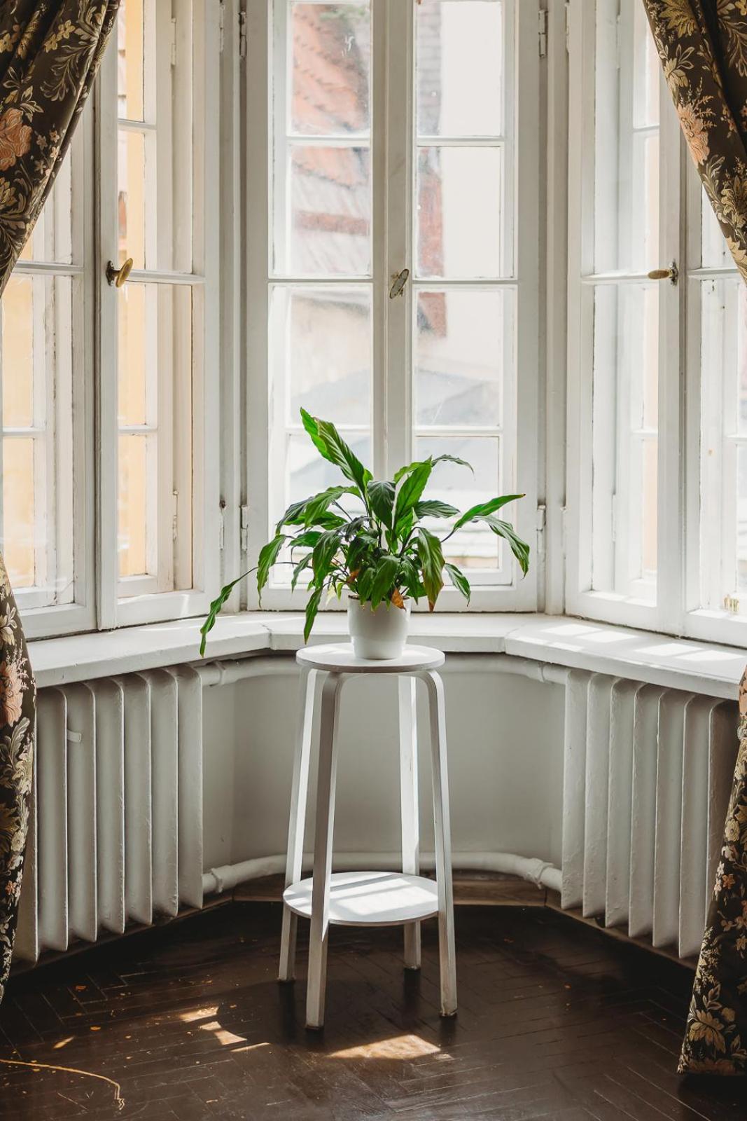 Tallinn Vacations - Charming Old Town Room with Private Bathroom - Property Image 2