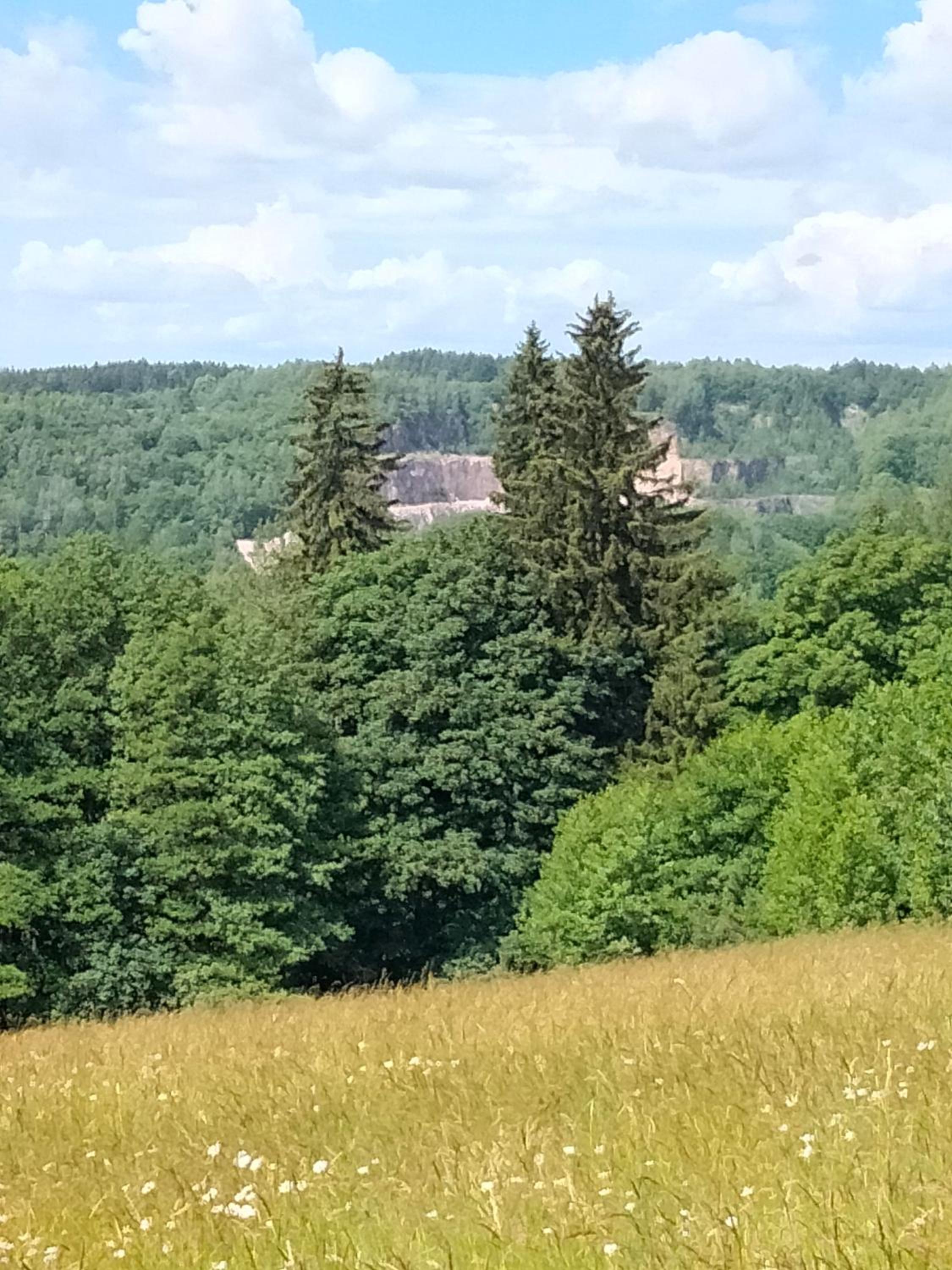 Luční apartmány Dobromysl a Laskavec